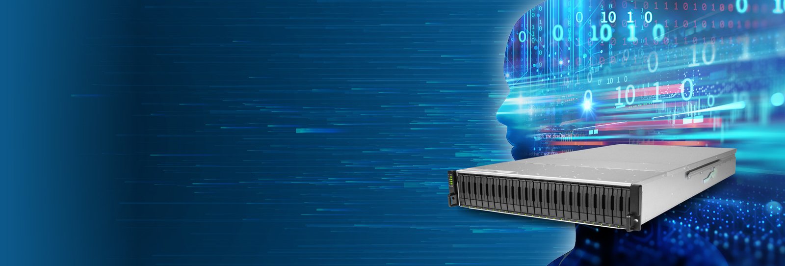 Enterprise Storage Solutions